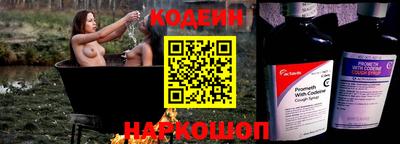 амф Кингисепп