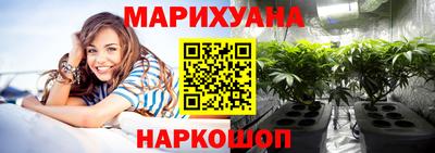 амф Кингисепп