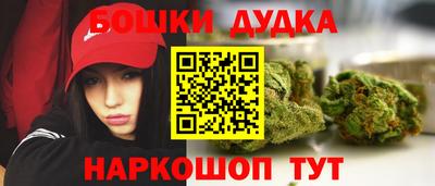амф Кингисепп
