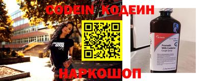 амф Кингисепп