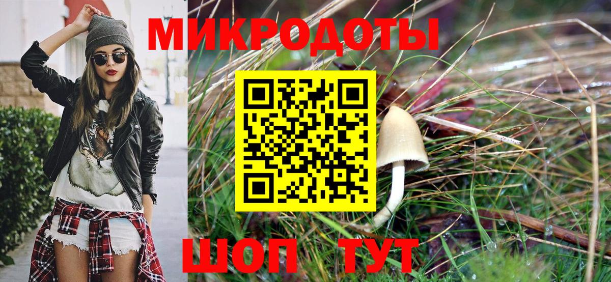Псилоцибиновые грибы мицелий Жигулёвск